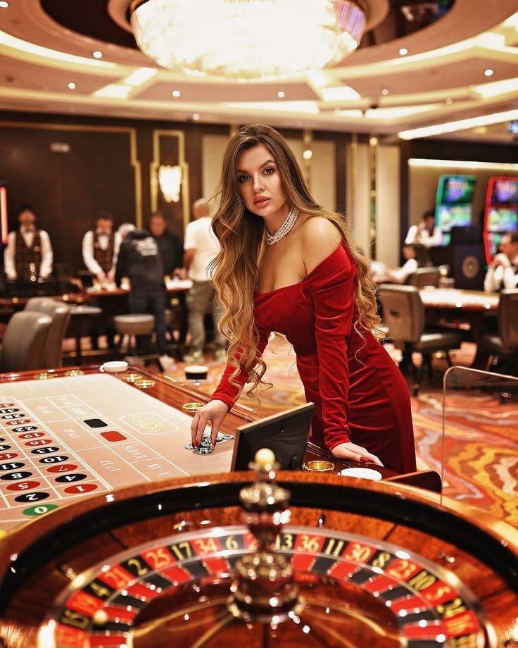 মোবাইলে 9bet দ্য ডগ হাউস গাইড দেখা